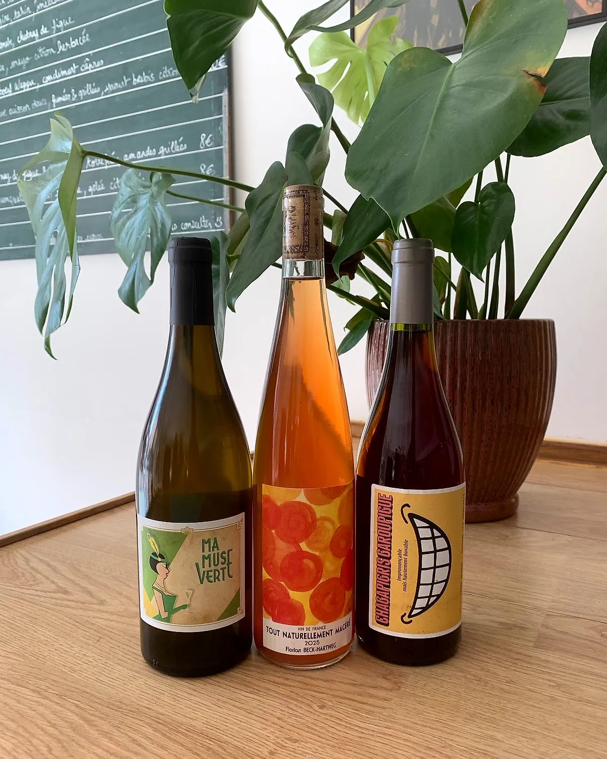 Trois bouteilles de vin nature et une plante